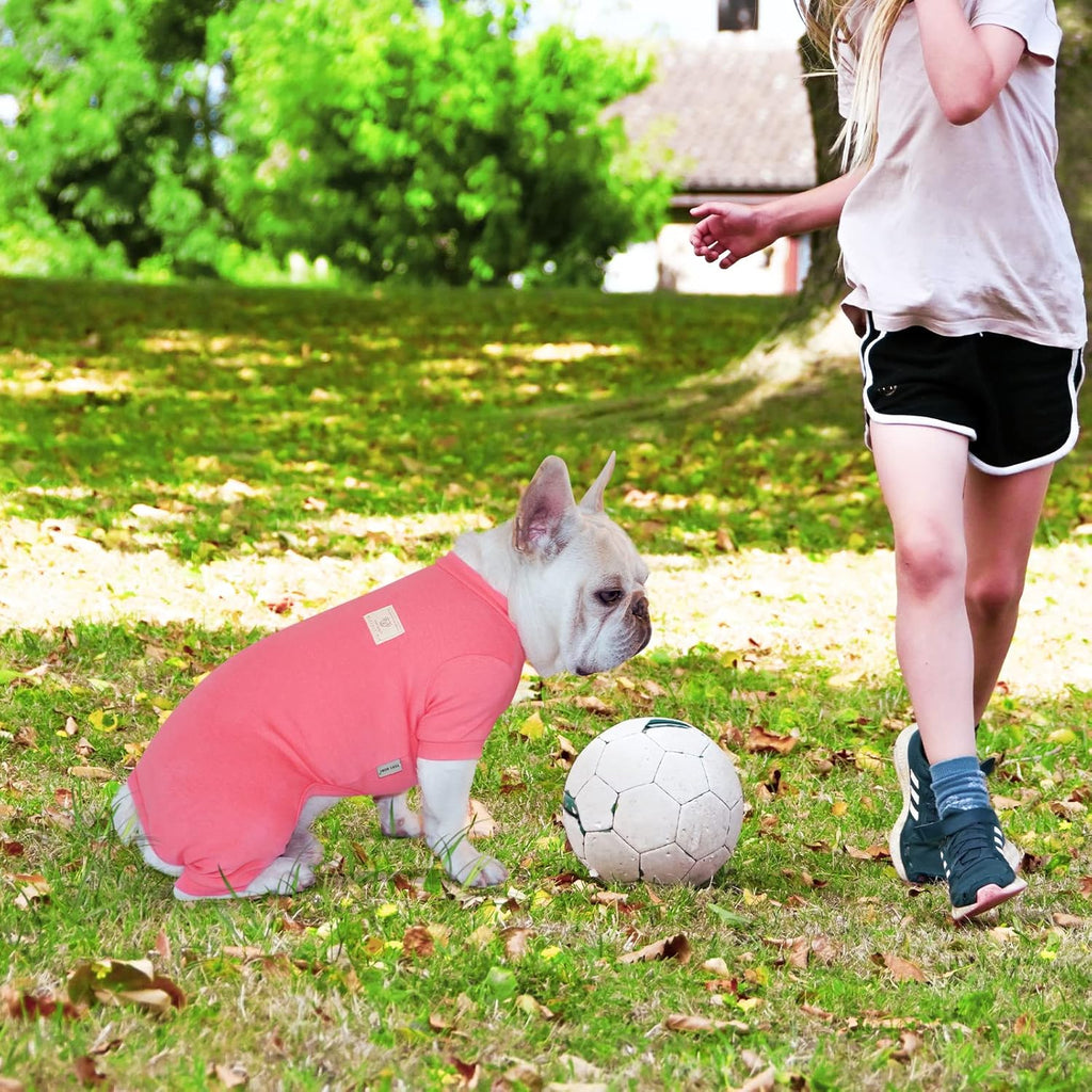 Dog Pajamas, 4 Legged Dog Pajamas, Dogs Jumpsuits with Thermal, Cotton Pet Clothes for Small Medium Dogs (Pink, L)